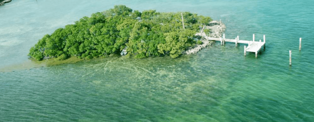 Rent This Private Island For $500 A Night